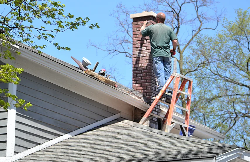 Chimney & Fireplace Inspections Services in Bothell, WA